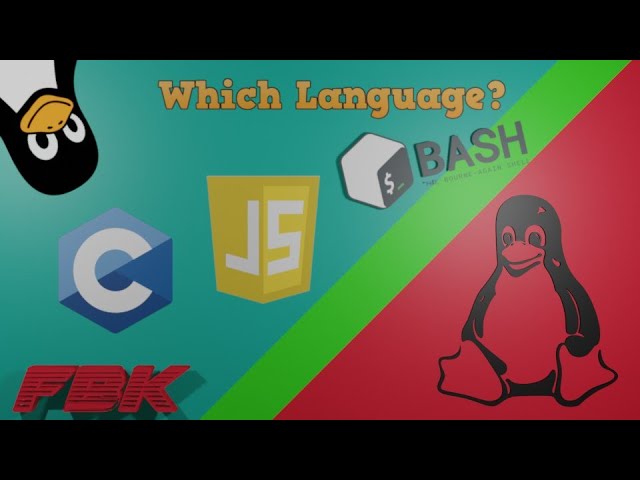 Which Programming Language Should I Learn