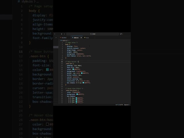 Day : 2 web Development journey