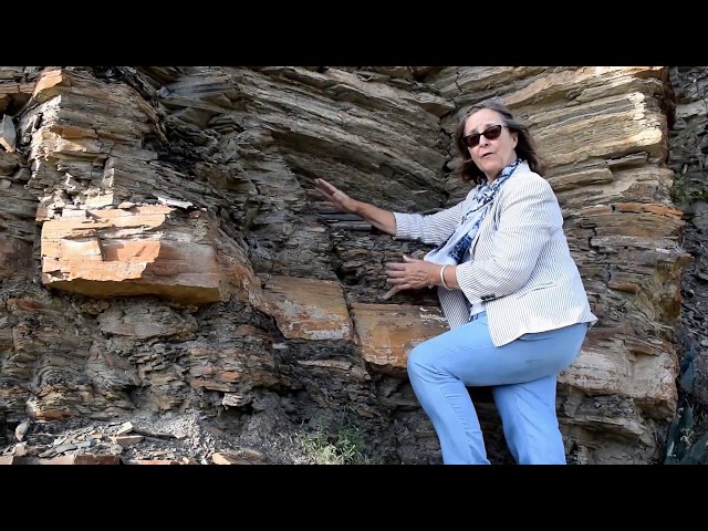 FALLAS GEOLOGICAS. Tipos de Fallas