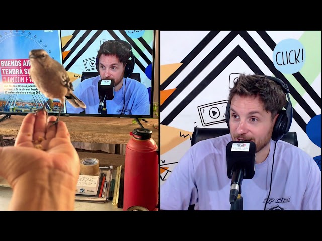 AHORA | ES UN MONTÓN