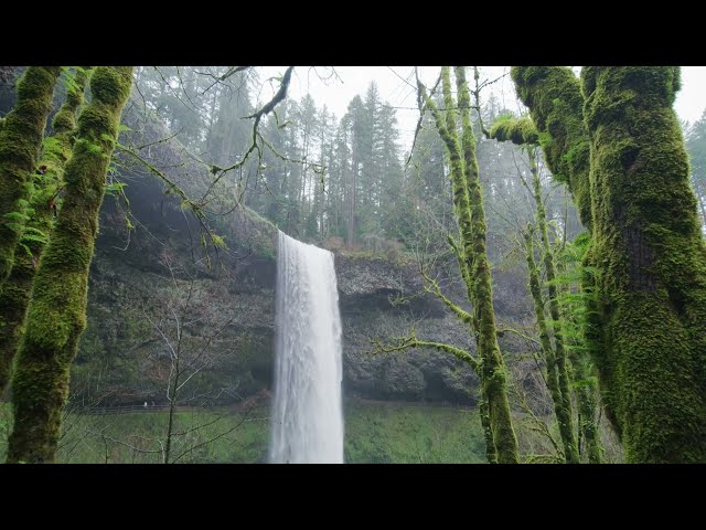Color Correction- Part 2