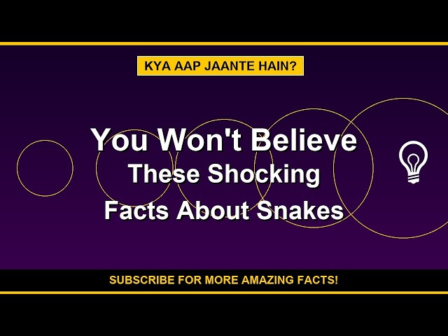 You Won't Believe These Shocking Facts About Snakes!