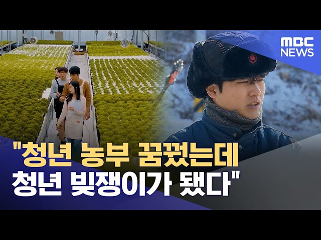 "청년 농부 꿈꿨는데 청년 빚쟁이가 됐다" (2025.01.14/뉴스투데이/MBC)