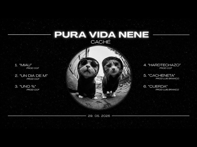 CACHÉ - CACHENETA #puravidanene