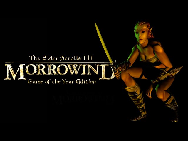 CONSIGUIENDO UNA ESPOSA PARA UN JEFE DE TRIBU 💀 - The Elder Scrolls III: Morrowind #14