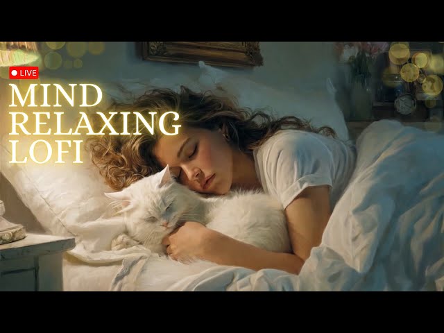 LIVE :  Desi Beats World | Calming lofi for chill vibes ✨| Sleep ,Chill , Focus , Relax