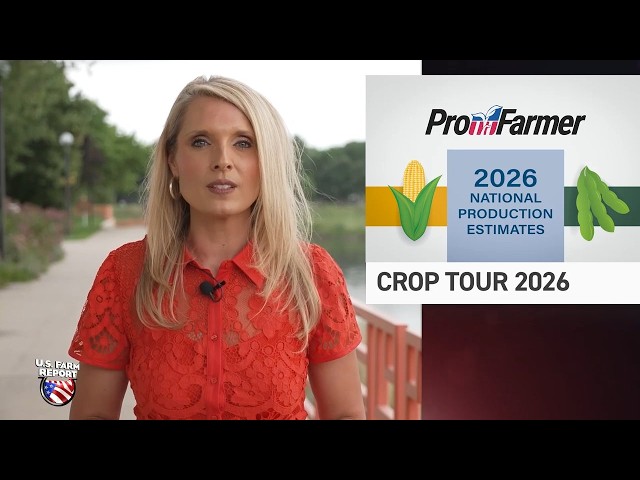 The Numbers Behind Pro Farmer’s Surprising 173 Bu. Per Acre Yield Estimate