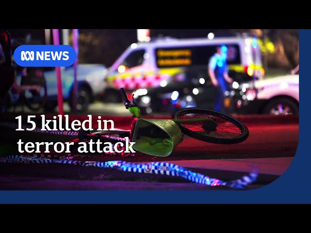 10-year-old girl among 15 killed in Bondi Beach terror attack | ABC NEWS
