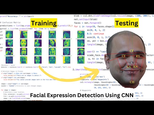 Decoding Human Emotions: A Deep Dive into CNN-based Facial Expression Recognition