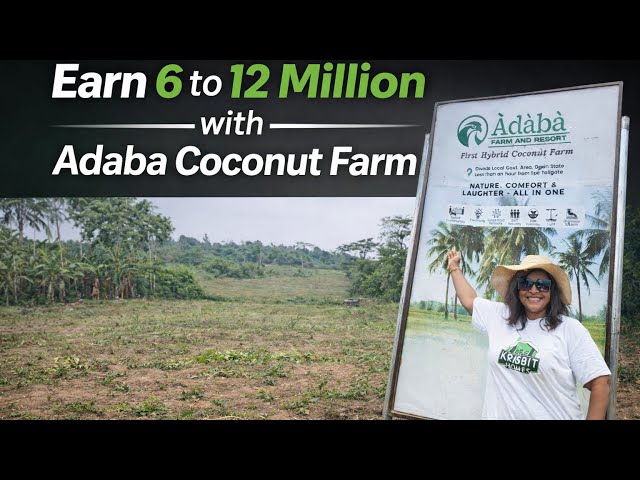 Why invest in Coconut Farm in Nigeria | Adaba Coconut Farm & Resort | Agricultural Investment