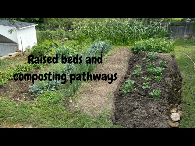The future of my garden beds and composting: Vlog #472