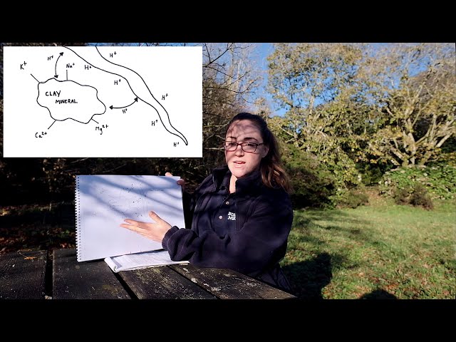 Basic soil science for gardeners