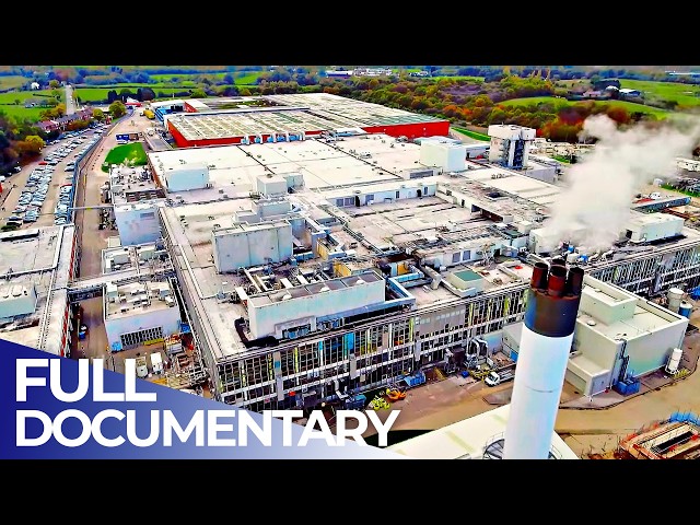 Heinz Mega Factory: Inside Europe’s Largest Food Processing Plant | FD Engineering