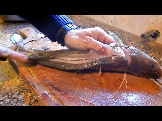 TE MUESTRO COMO FILETEAR UN PESCADO "SIN ESPINAS" (EXQUISITA BROTOLA)