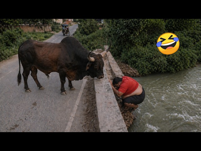 Try Not To Laugh 🤣 Top 100 Funniest Videos Ever | Memes, Epic Fails & Pranks Compilation 2026 Part 6