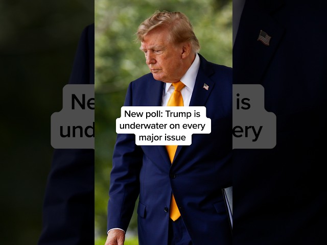 New poll shows Trump is underwater on every major issue
