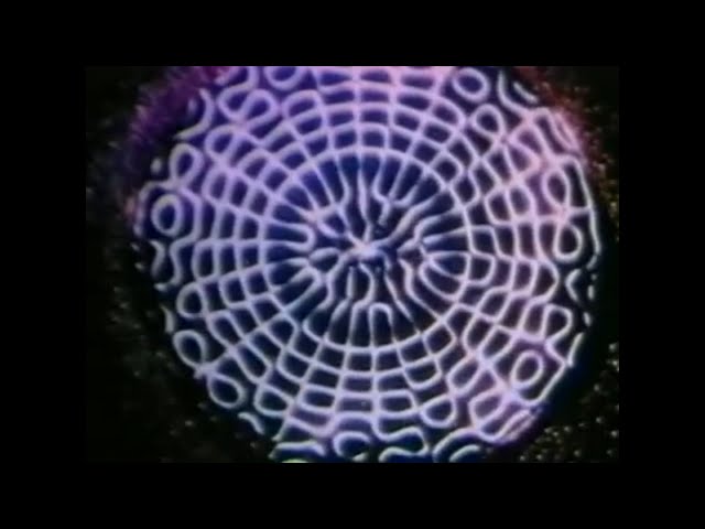The Science of Cymatics Documentary