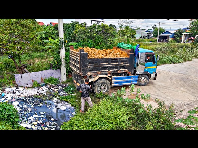 First Start Amazing PROJECT! Filling Land By Komat'su D20P Dozer with Dump Truck
