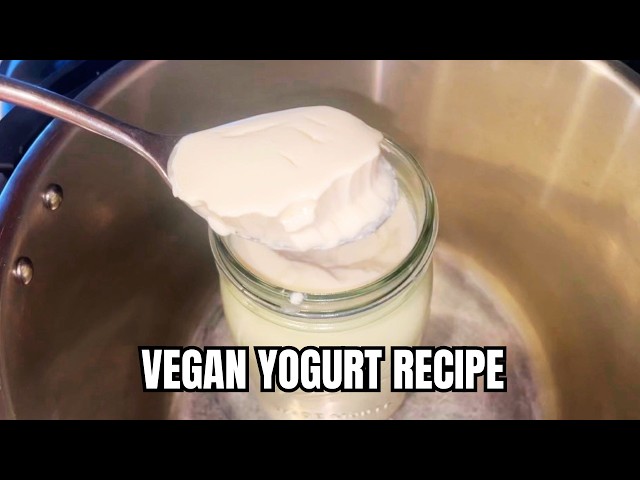 EASY Soy YOGURT Recipe in Instant Pot (Boxed Soy Milk + Yogurt Starter)