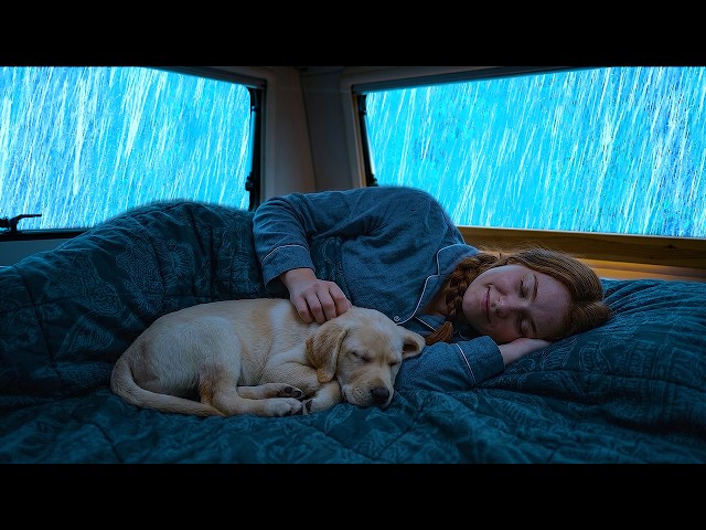 Rain Sounds for Sleeping | Soothing Rain Around a Warm Car & Gentle Thunder | Relaxing ASMR Sounds