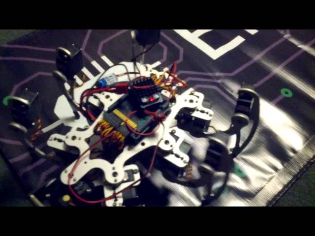 Mojo Controlled Hexapod