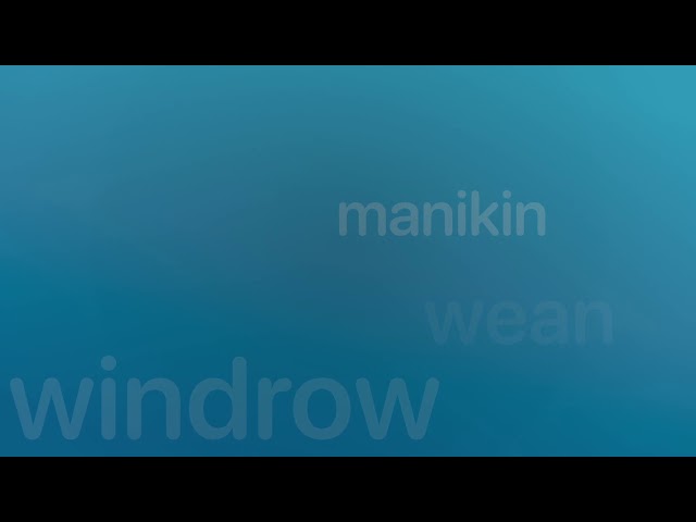 Simulation, procedural programming, and top modules