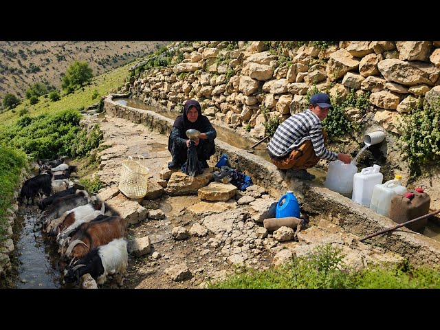 🏔️ Nomadic Life | A Nomad Woman’s Effort to Provide Water in Remote Mountains 🐐💧