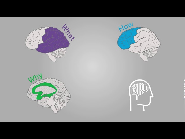 Understanding Universal Design for Learning