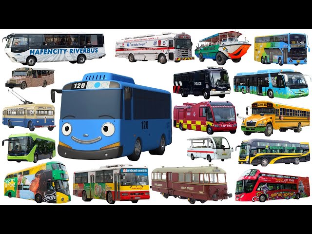 TAYO THE LITTLE BUS , Police bus, Electric Bus, City Bus, Coach | Buses Collection Name - Bus types