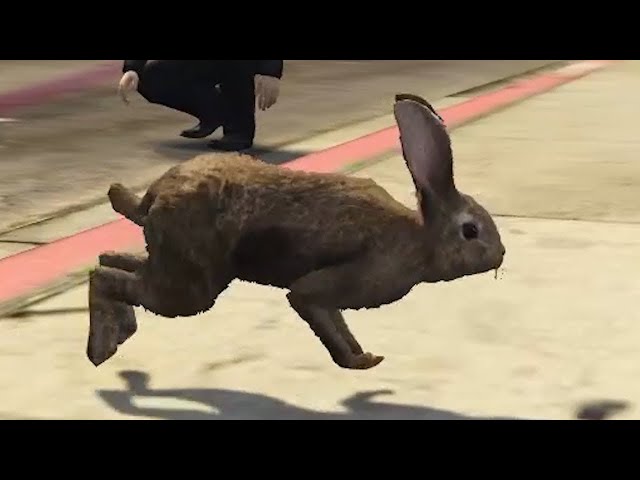 THANK YOU FOR 800,000 SUBSCRIBERS