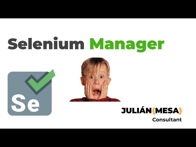 Selenium Manager - 2024