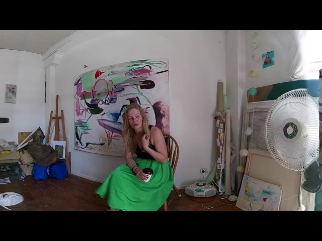 360° video: Interview with Denise Reichenbach, artist, Brisbane, 25 September 2017 (Part 2)