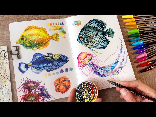 Drawing Sea Life with 15 Ballpoint Pens | no music, no talking 🐟