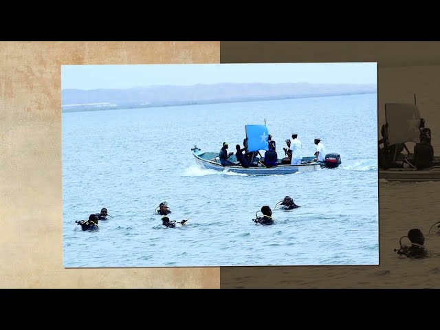 Xasan Sheekh & Isaias Afwerki ayaa kormeeray cutubyo ka tirsan Ciidanka Badda Somalia,