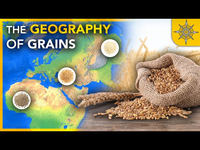 The GEOGRAPHY of Grains