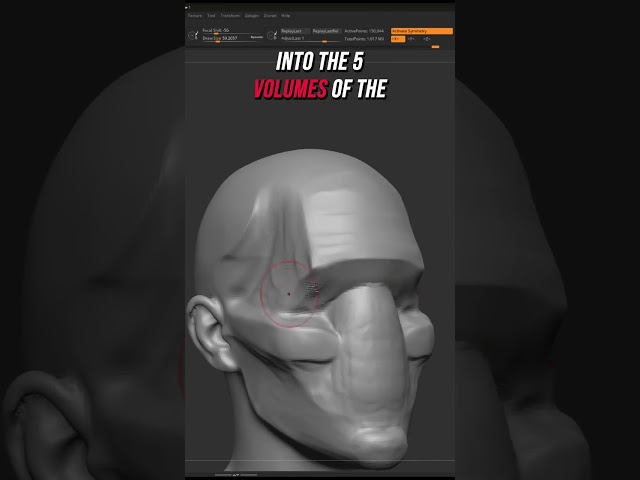 If you want to sculpt the face you need this... #Zbrush