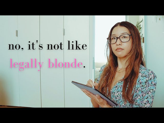 what the hell do lawyers do, anyway? pt 1: litigation