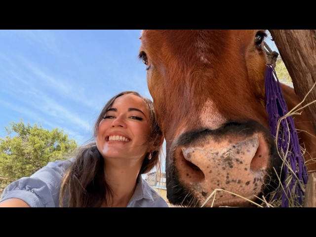hanging out @alveussanctuary :D