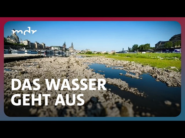 Der große Durst - Streit ums Wasser | Fakt ist! | MDR
