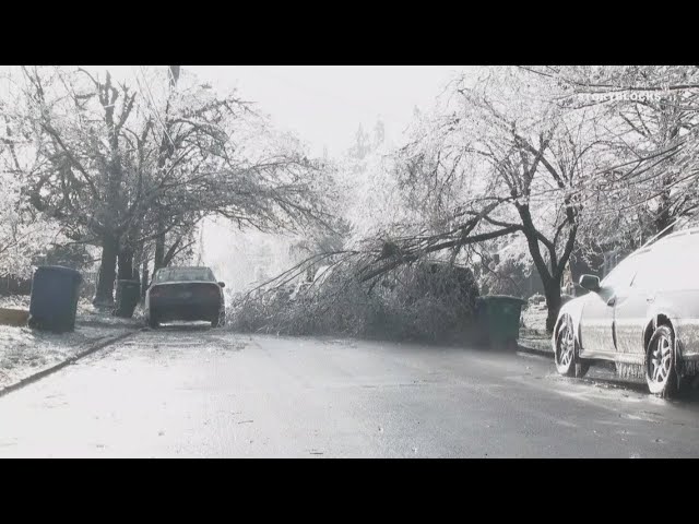 Why ice is such a problem for trees, powerlines
