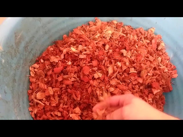 What i use for substrate for my ball pythons