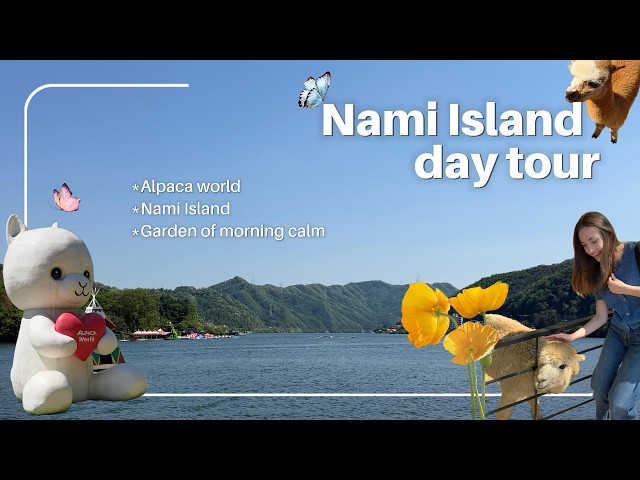 The PERFECT Korea Day Trip 🇰🇷 Alpacas, Zipline & Nami Island and Garden of Morning Calm! 🦙🏡