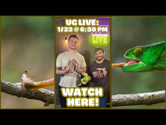UG LIVE SHOW - 1/23 @ 6:30 PM EST