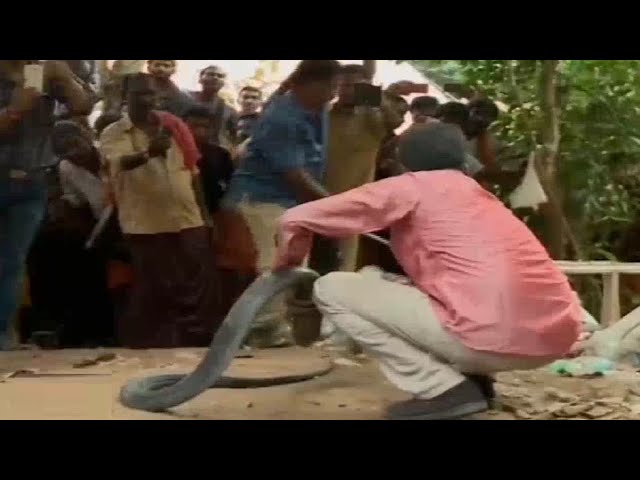 പാമ്പുകടിയേറ്റു; വാവ സുരേഷ് മെഡിക്കല്‍ കോളജില്‍ | Vava Suresh