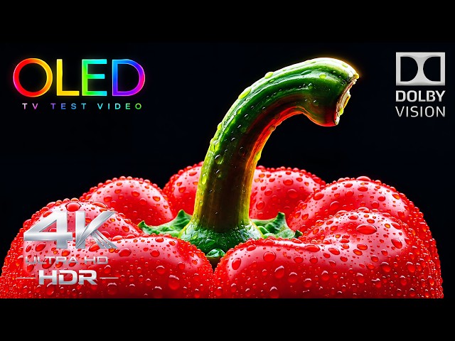 Why OLED 4K Looks Different 🔥 | 4K HDR 240FPS Dolby Vision TV Test (4K Video)