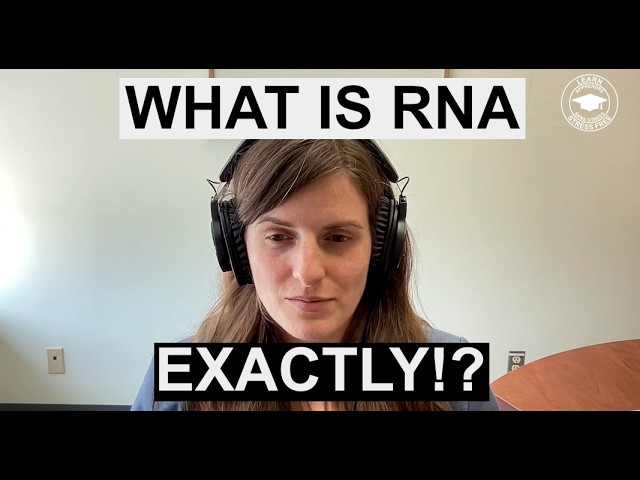 RNA what is it exactly? Clip from Episode 4 of podcast Learn Stress Free