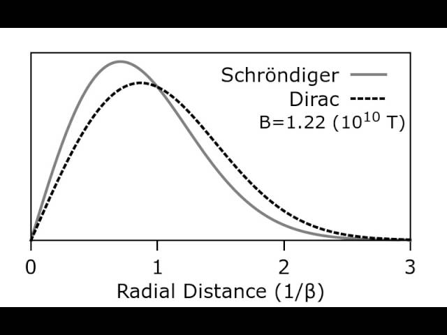 Comparison Schrödinger and Dirac Radial Probability Density