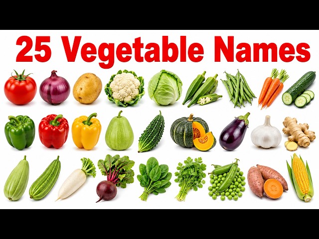 25 Vegetable Names in English and Hindi with Pictures | 25 सब्जियों के नाम | Kids Learning Video 🍅🥕