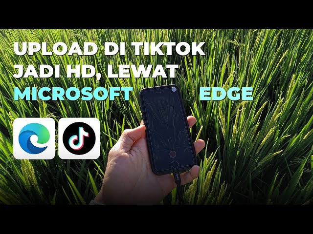 Upload HD di Tiktok lewat Microsoft Edge??? 