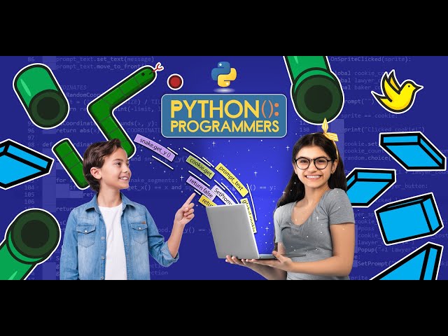 Python Programmers